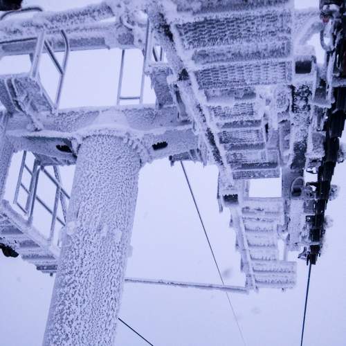 Photo #7658296