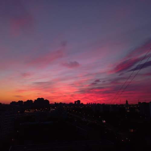 Photo #7658399