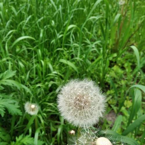 Photo #7658432