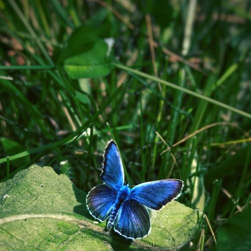 Photo #7658645