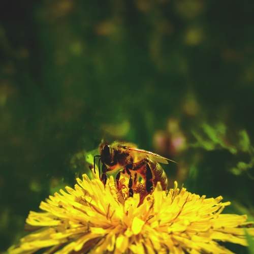 Photo #7658647