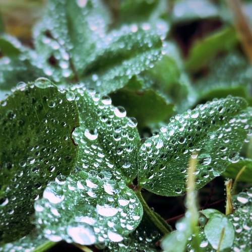 Photo #7658649