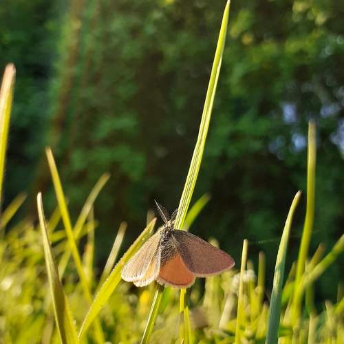 Photo #7658696