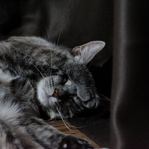 Photo #7659207