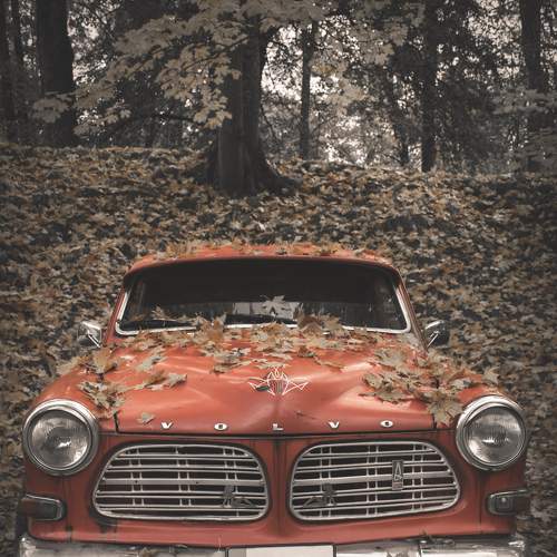 Photo #7659394