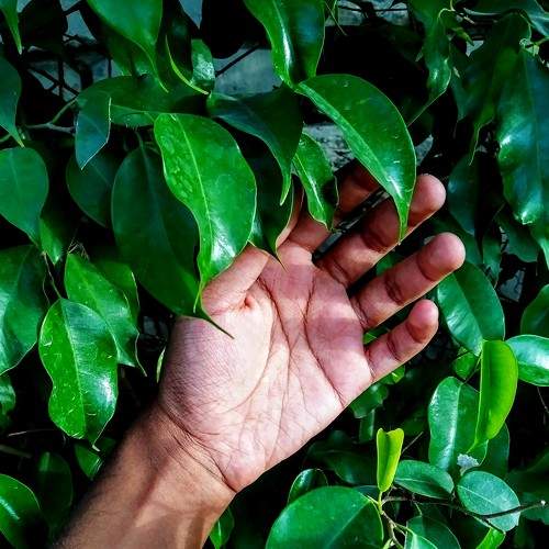 Photo #7659436