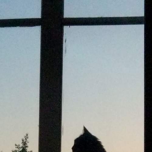 Photo #7659631