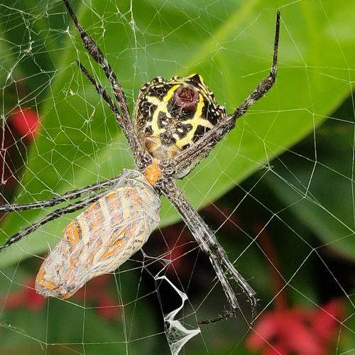 Photo #7659897