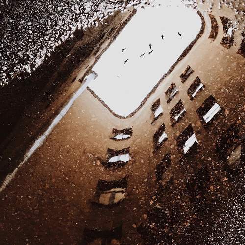Photo #7660013