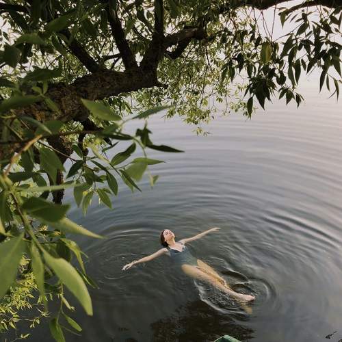 Photo #7660065