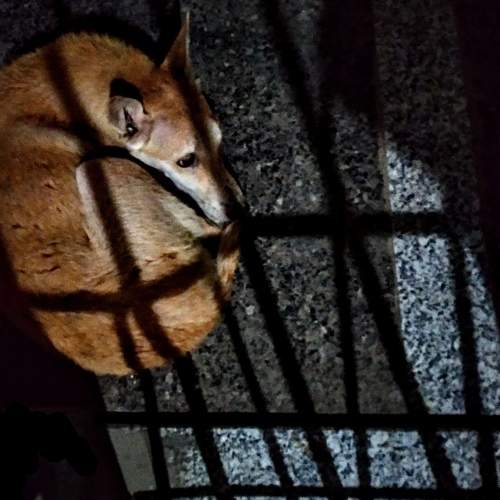 Photo #7660293