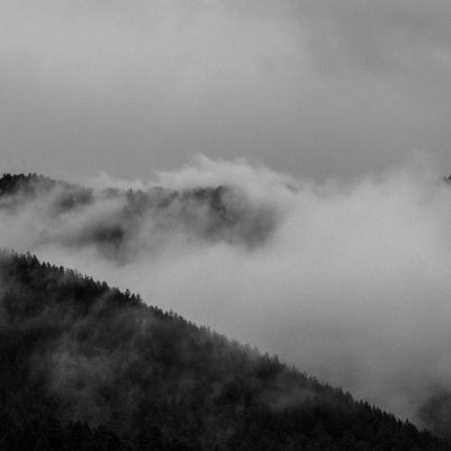 Photo #7660364