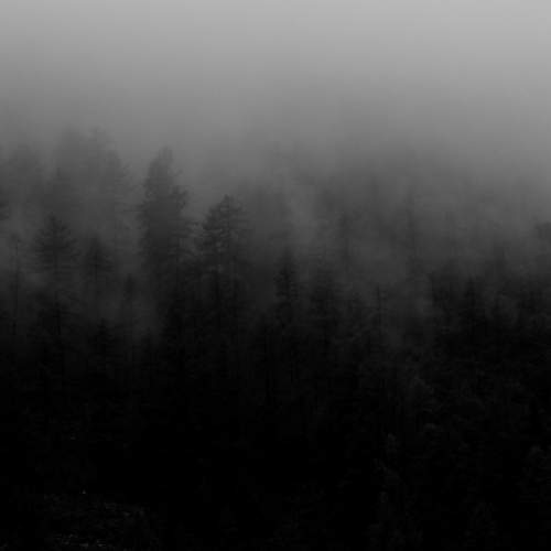 Photo #7660365