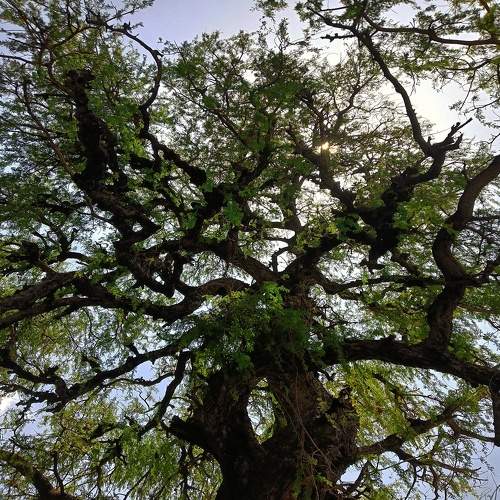 Photo #7660536