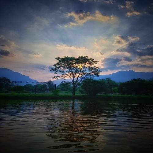 Photo #7660645