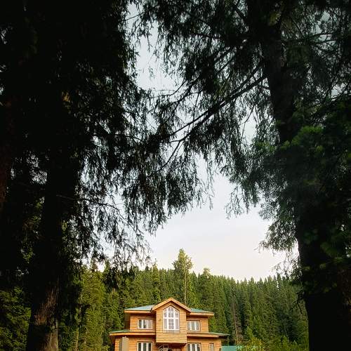 Photo #7660788