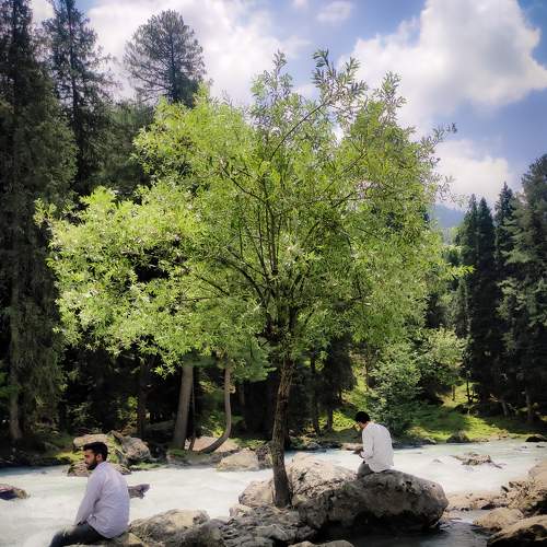 Photo #7660789