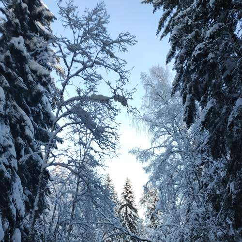 Photo #7660828