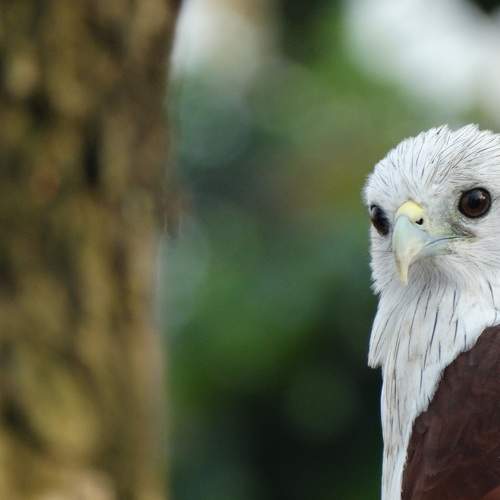 Photo #7661905