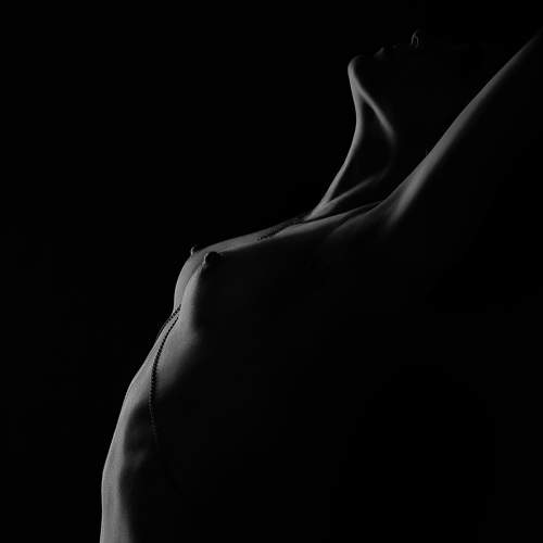 Фотография #7662470