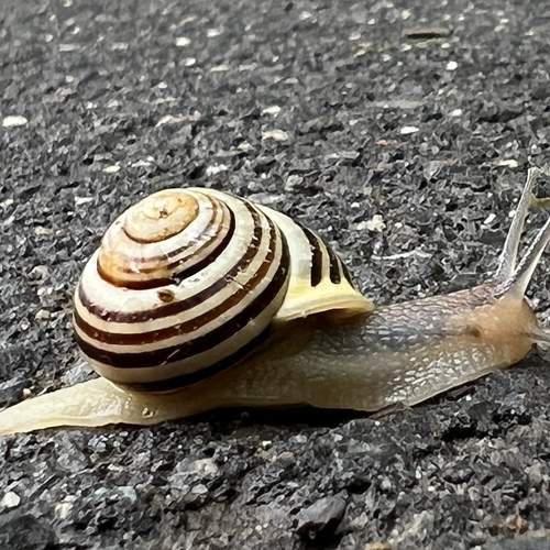Photo #7662601