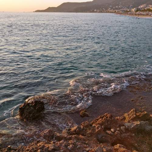 Photo #7662962