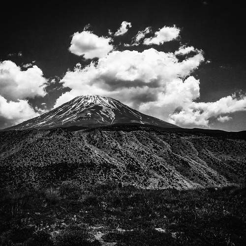 Photo #7662965