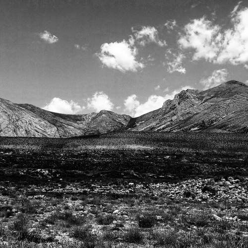 Photo #7662967