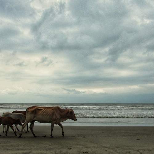 Photo #7663496