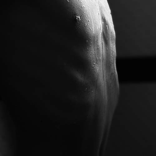 Photo #7663829