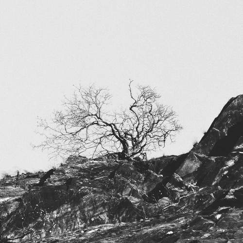 Photo #7663864
