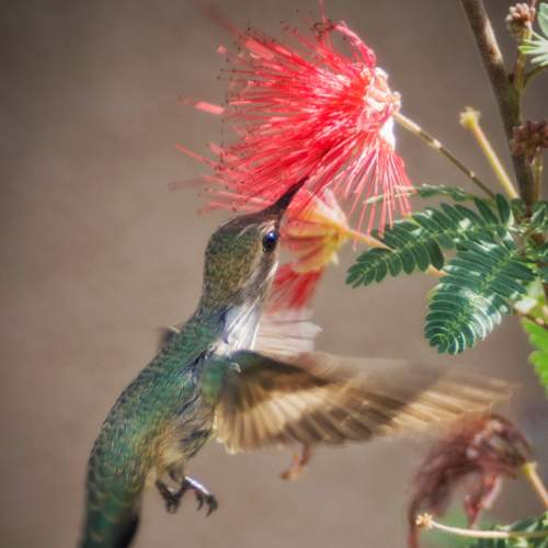 Photo #7664430