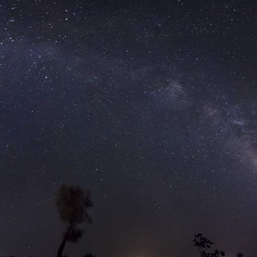 Photo #7664466