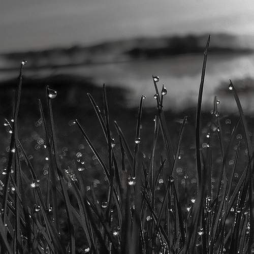 Photo #7664497