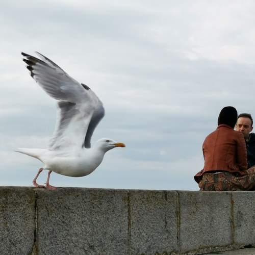Photo #7664659