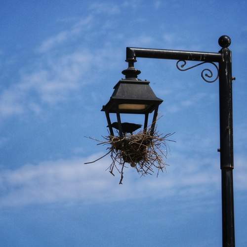 Photo #7665177