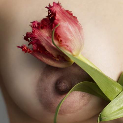 Photo #7665236