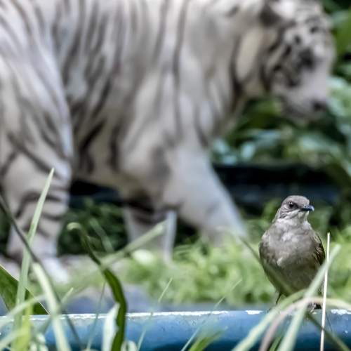 Photo #7665549