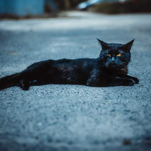 Photo #7665601