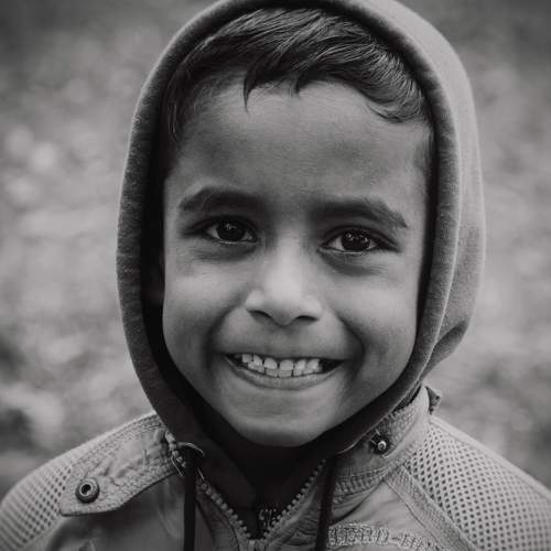 Photo #7665609