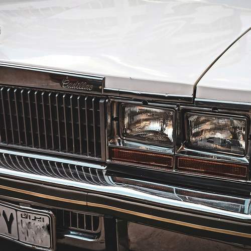 Photo #7665635