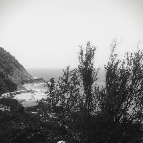 Photo #7666260