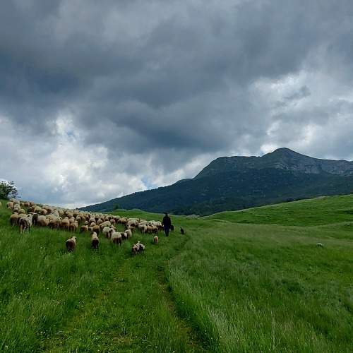 Photo #7666390