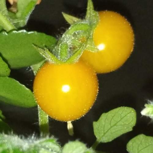 Photo #7666625
