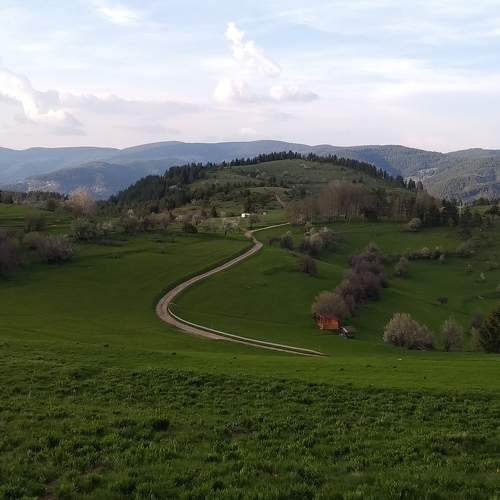 Photo #7666644