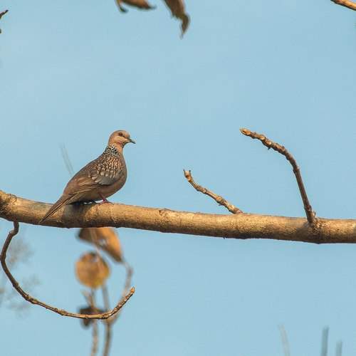 Photo #7667206