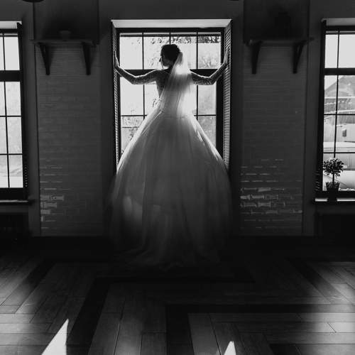 Photo #7667799