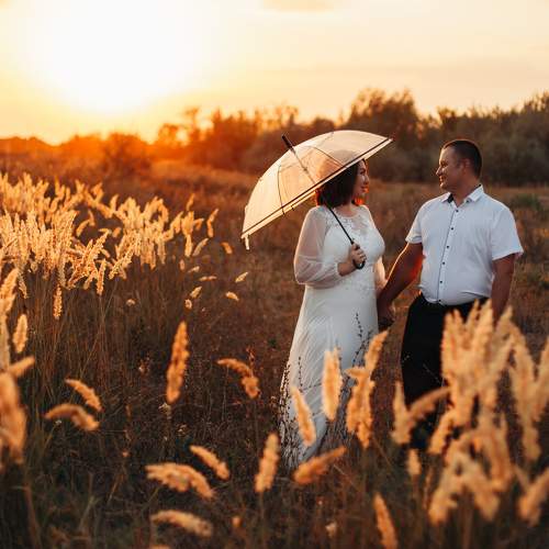 Photo #7667800