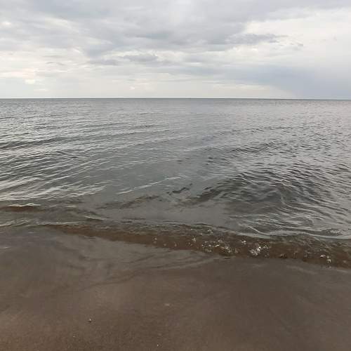 Photo #7667880