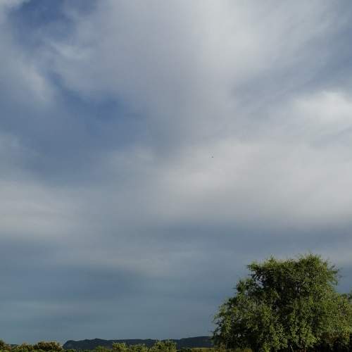 Photo #7667957